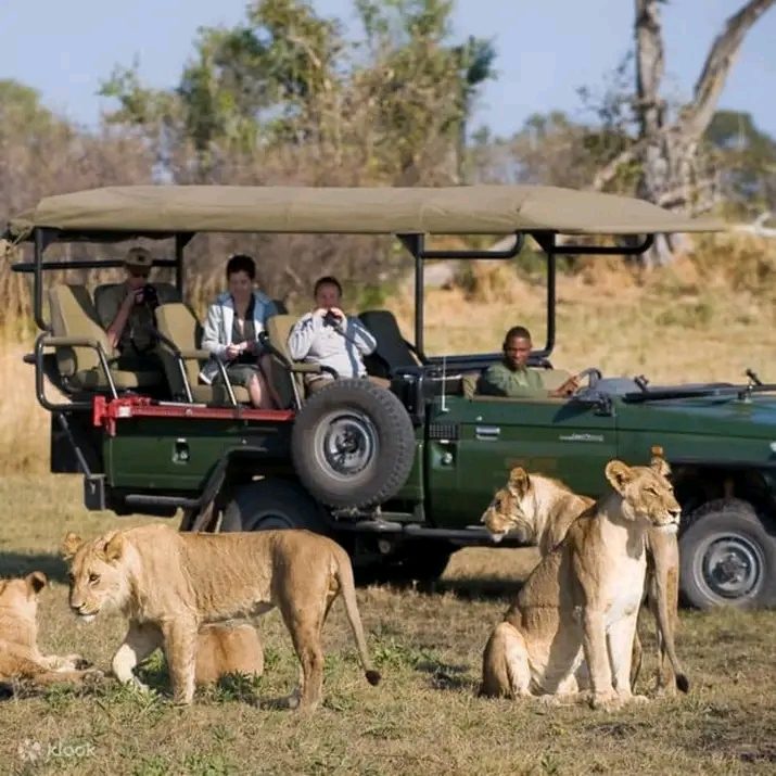 Chobe day trip in Kasane, Botswana, led by a local guide