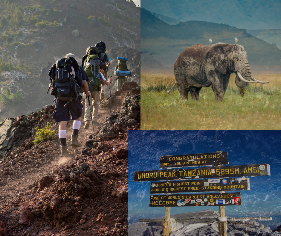 7-Day Kilimanjaro Climb (Machame Route) & 4-Day Tanzania Northern Circuit Safari in moshi, Tanzania, led by a local guide