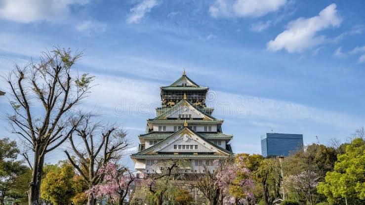 Osaka Full-Day Highlights Tour — 8 Hours in Osaka, Japan, led by a local guide