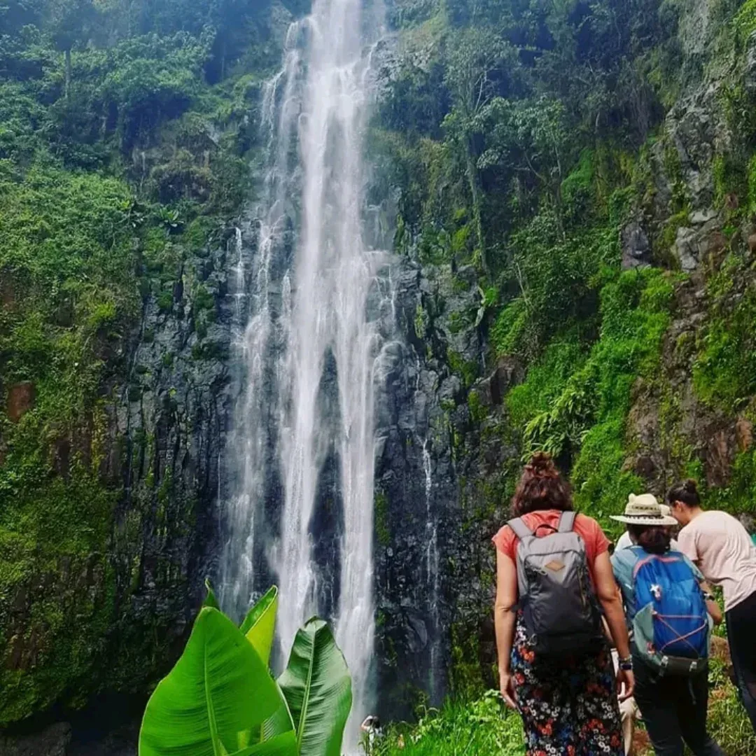 Materuni Waterfall & Coffee Tour in moshi, Tanzania, led by a local guide