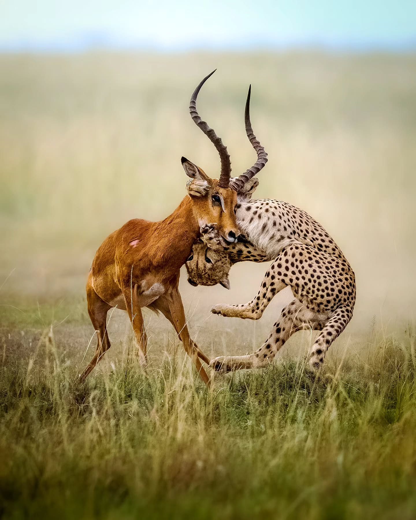 3-Day Classic Tarangire & Ngorongoro Crater Safari in Arusha, Tanzania, led by a local guide