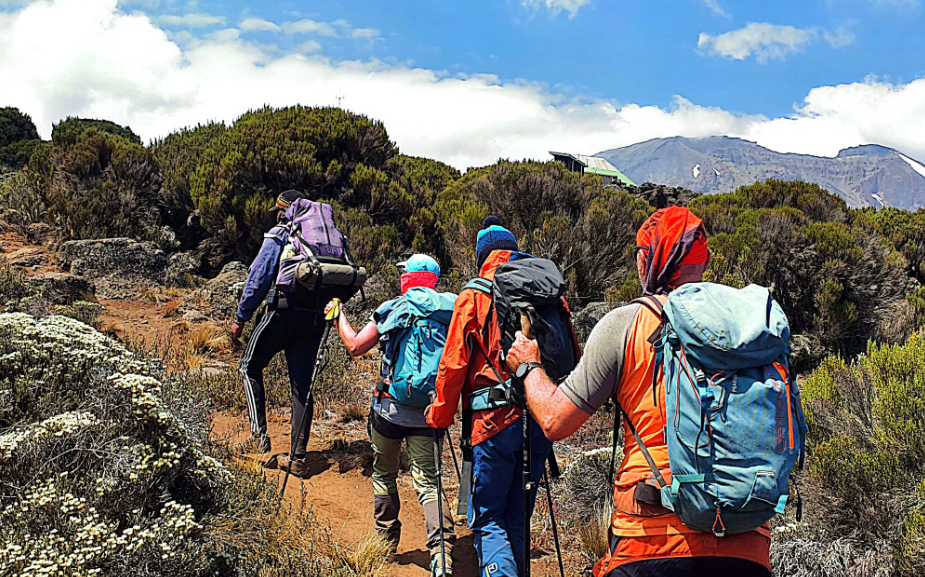 Kilimanjaro Day Hike (Marangu Route) in moshi, Tanzania, led by a local guide