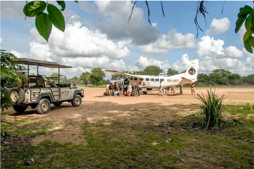 3-Day Fly-In Serengeti National Park Safari from Dar es Salaam in Dar es Salaam, Tanzania, led by a local guide