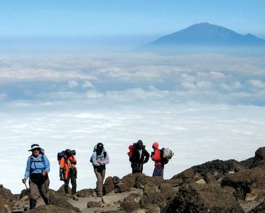 7-Day Package: 5-Day Mount Kilimanjaro Climb (Marangu Route) & 2-Day Tanzania Wildlife Safari in Moshi, Tanzania, led by a local guide