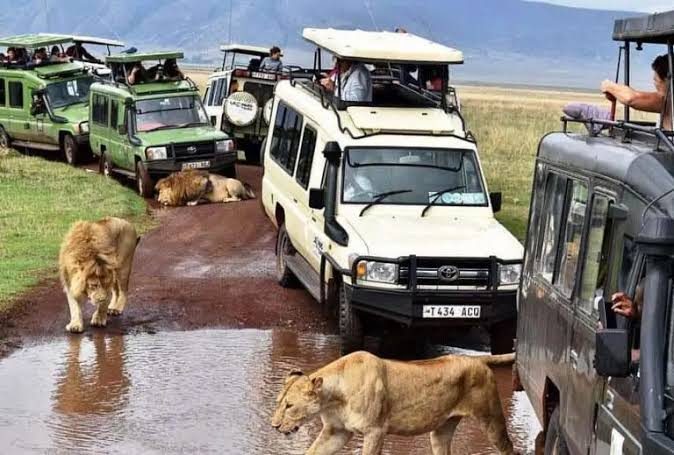 3 Day Authentic Tanzania Cultural Tour in moshi, Tanzania, led by a local guide